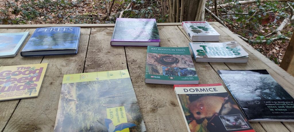 More books to read about woodlands